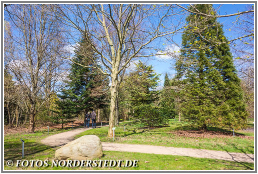 Das Arboretum in Norderstedt beim Norderstedter Stadtpark