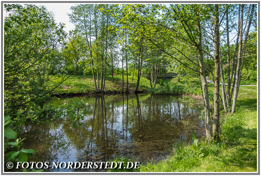 Der Heidbergpark in Norderstedt im Frühjahr