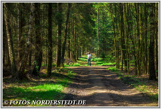 Der Rantzauer Forst im grünen Norderstedt